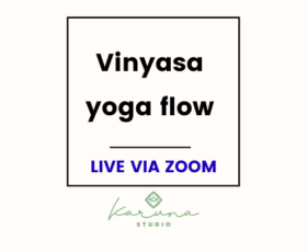 Vinyasa yoga flow