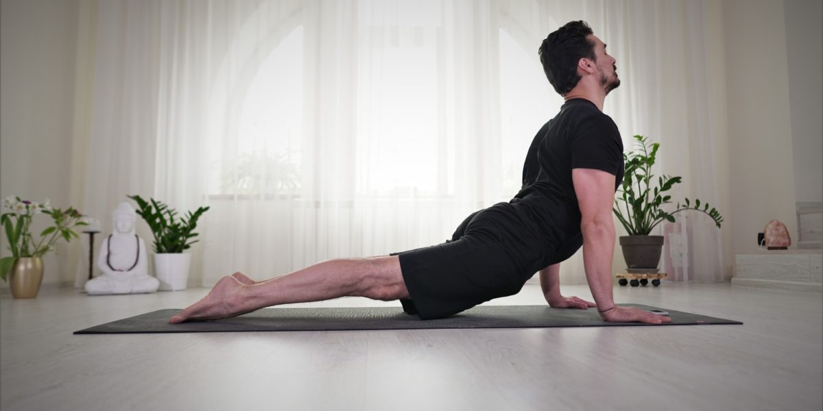Urdhva Mukha Svanasana